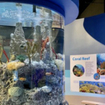 Living Shores Aquarium