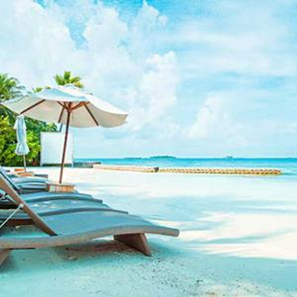 Honeymoon Fund