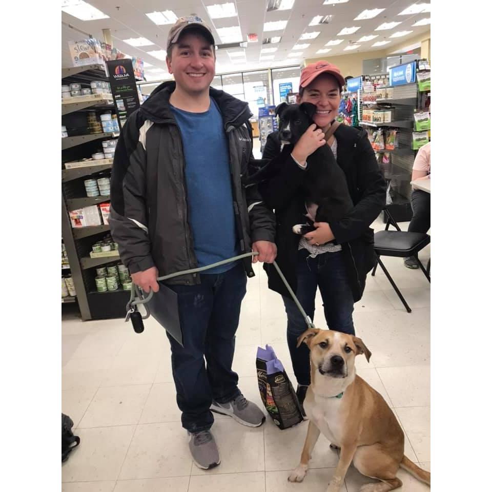 Mac's Adoption Day!
Feb 2nd 2019
