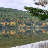Allegany State Park