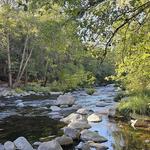 Allens Bend Trail