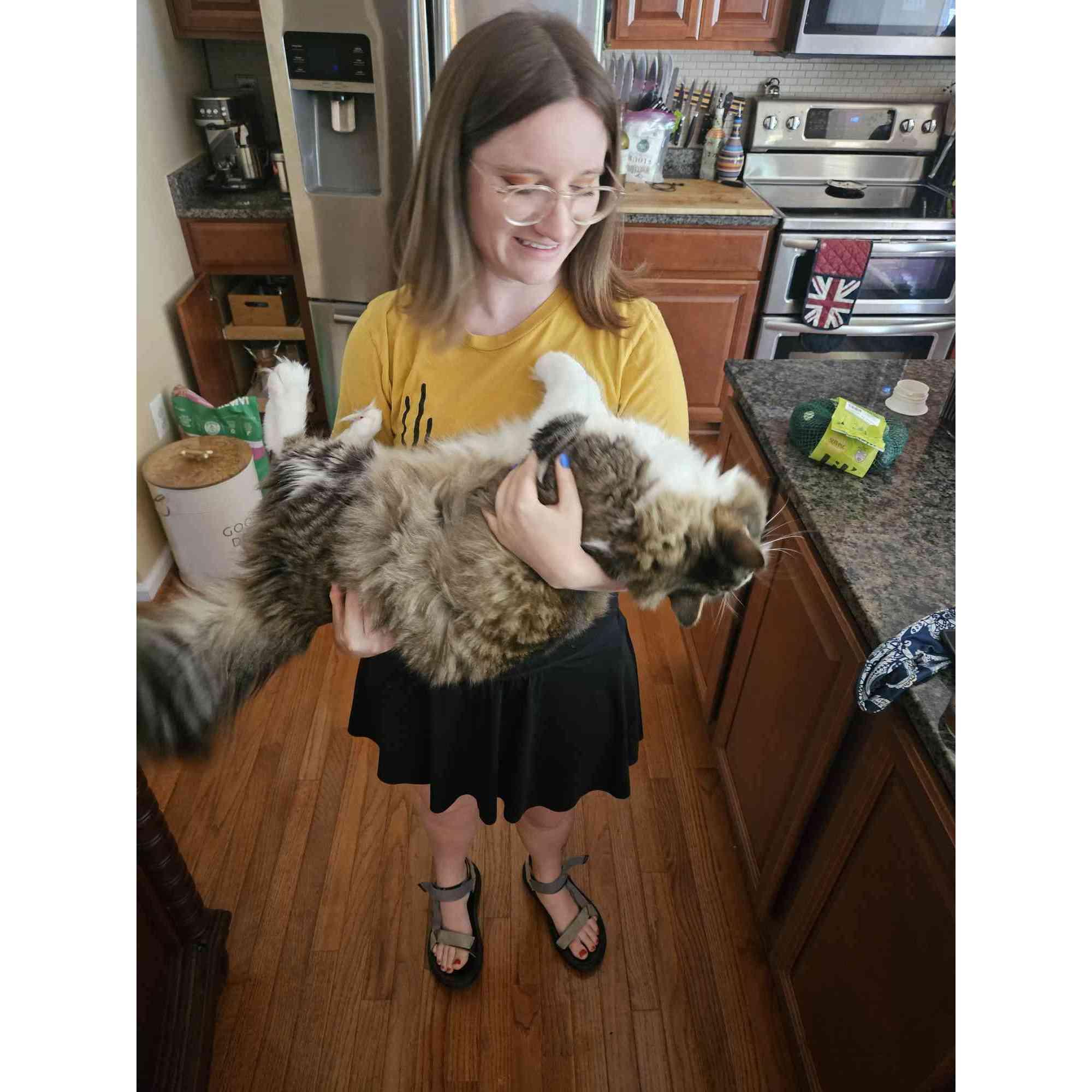 She'e never held a heavier cat than Pete 'Za Pizza.