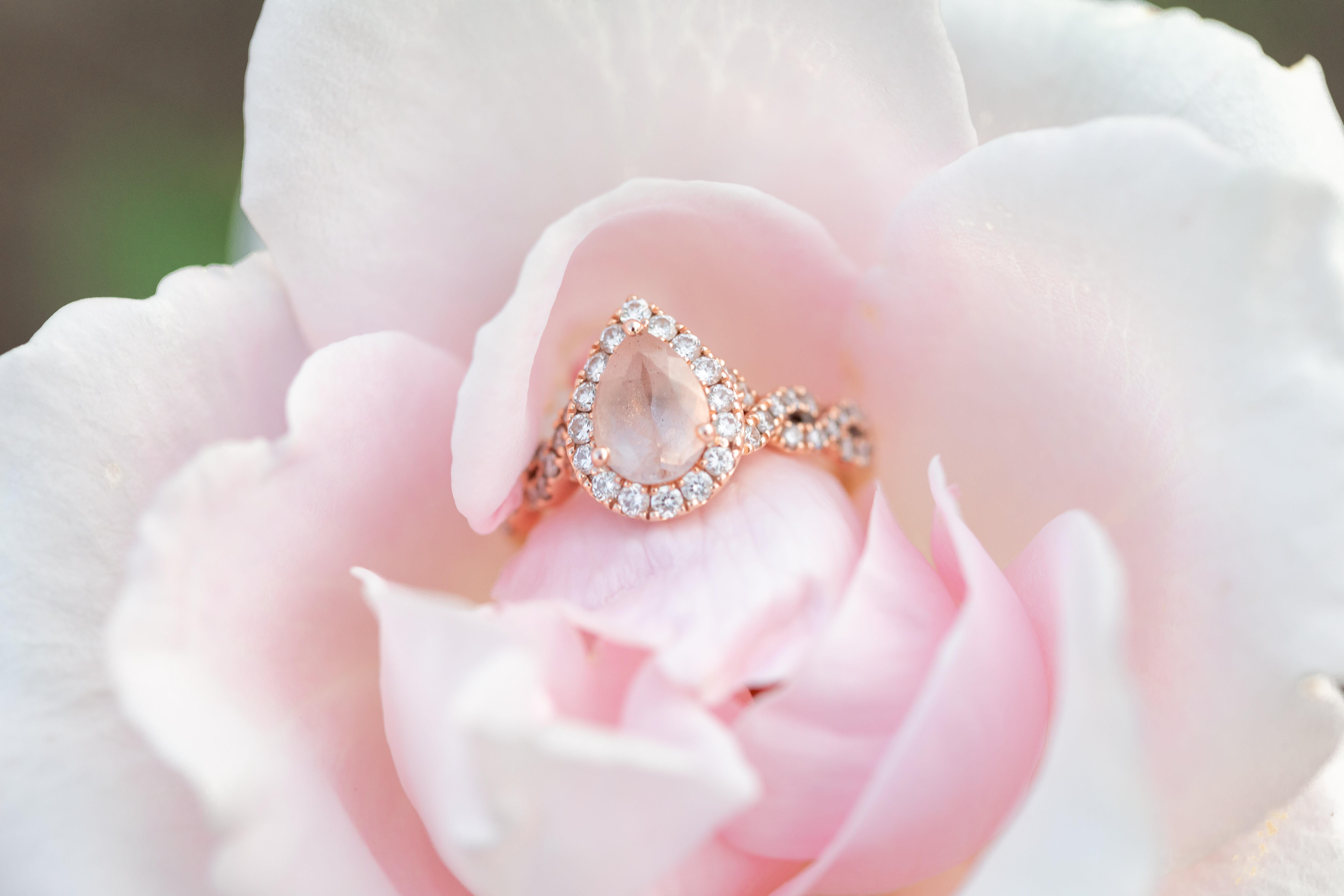 The Wedding Website of Monisha Rey and Joshua Clark