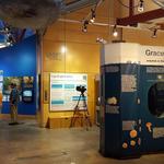 The Estuarium at Dauphin Island Sea Lab