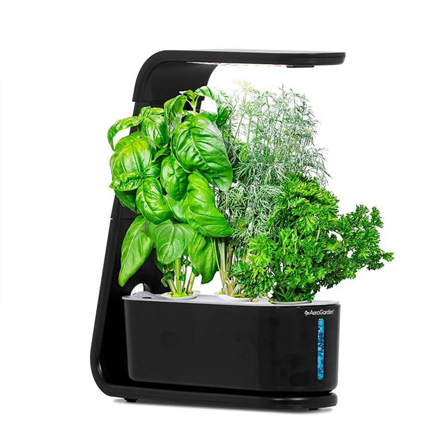 AeroGarden Sprout-Black (2020 Model)