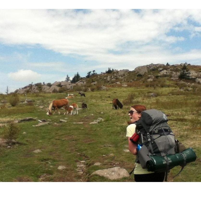 May 2012
Grayson Highlands
There really are ponies!!