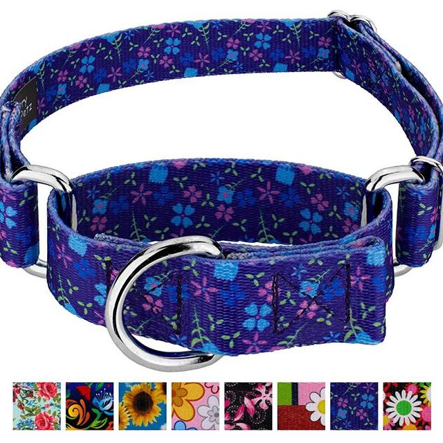 Country Brook Petz Martingale Dog Collar - Floral Collection with 8 Charming Designs