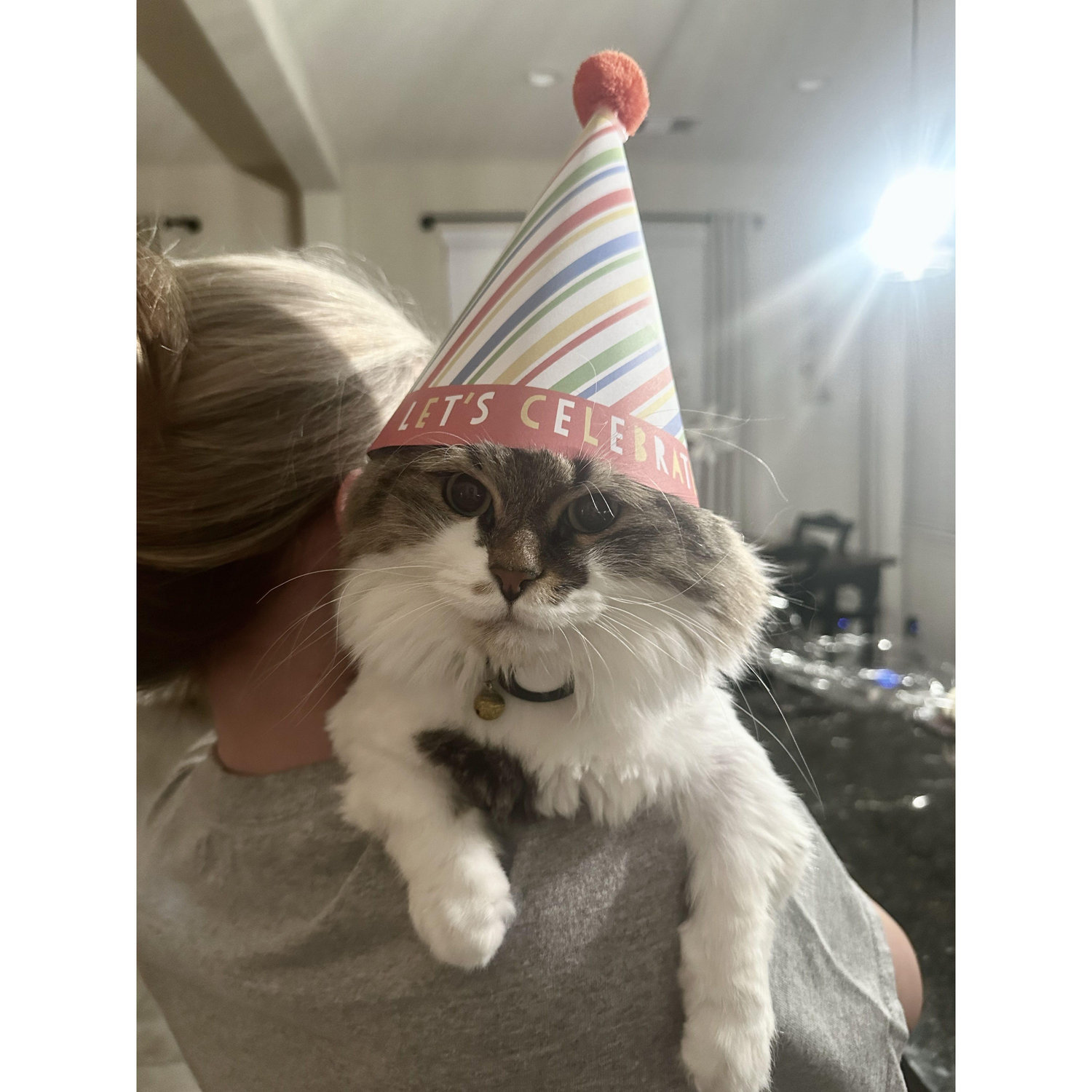 Put your party hats on!  We can't wait to celebrate with you!