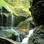 Watkins Glen State Park