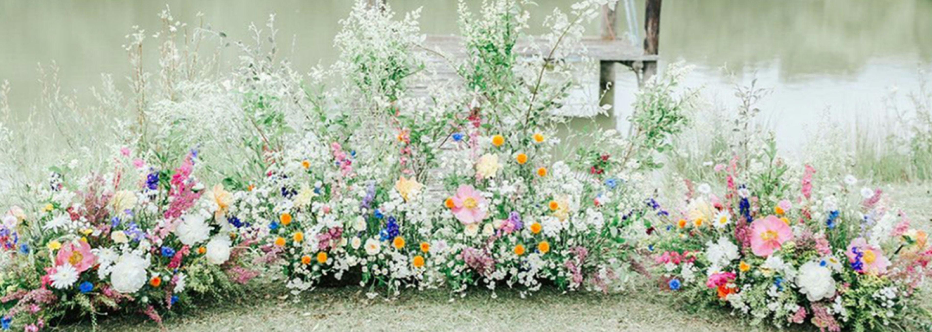 The Wedding Website of Haley Kaiser and Zach Escue