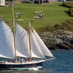 Sailing