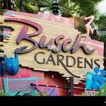 Busch Gardens Tampa Bay