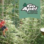 Go Ape Zip Line & Treetop Adventure - South Run Park
