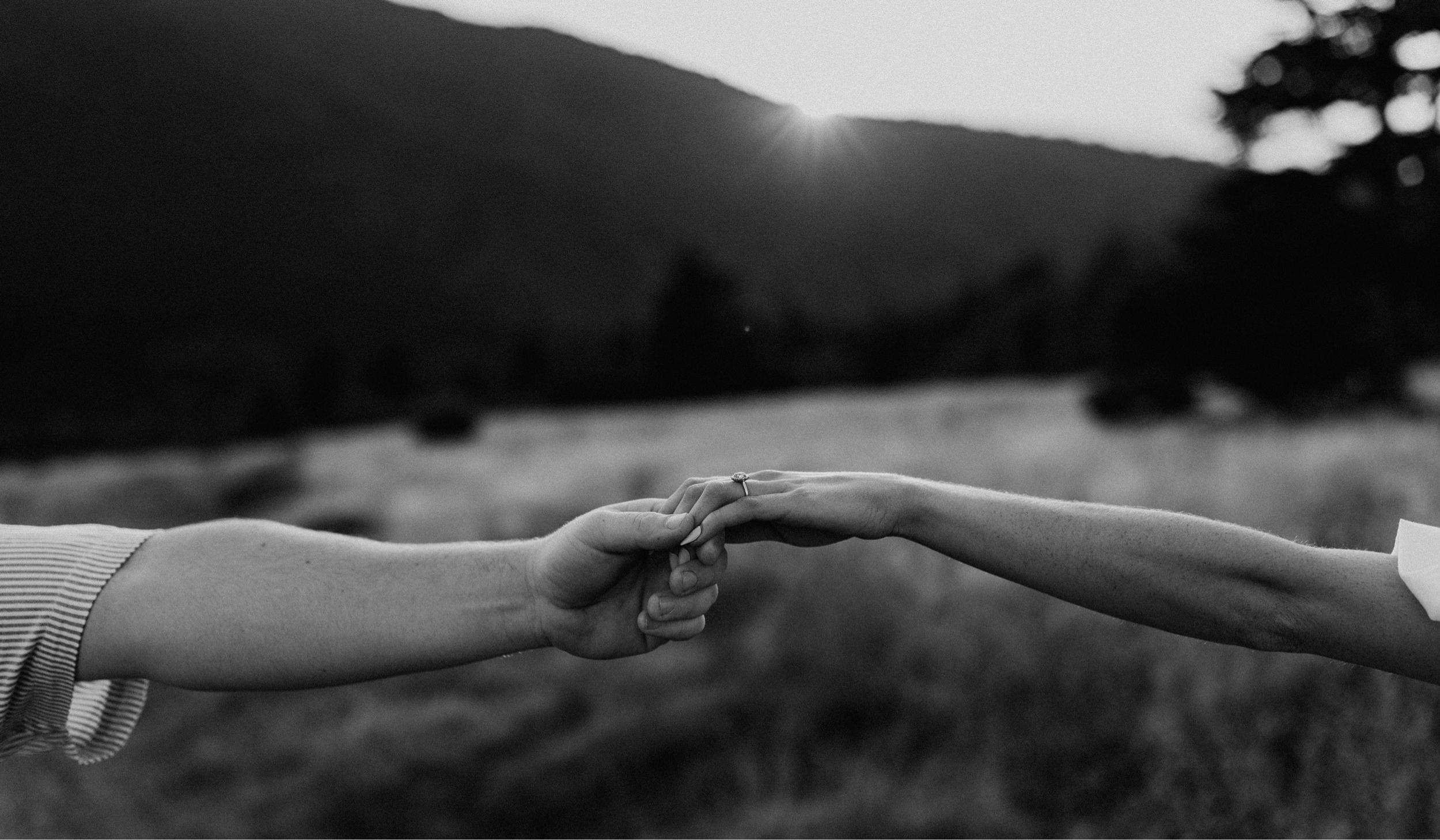 Hero Slideshow Image 3