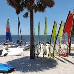 Miami Watersports: Hobie Cat & Windsurf