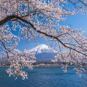 Japan & Taiwan Trip