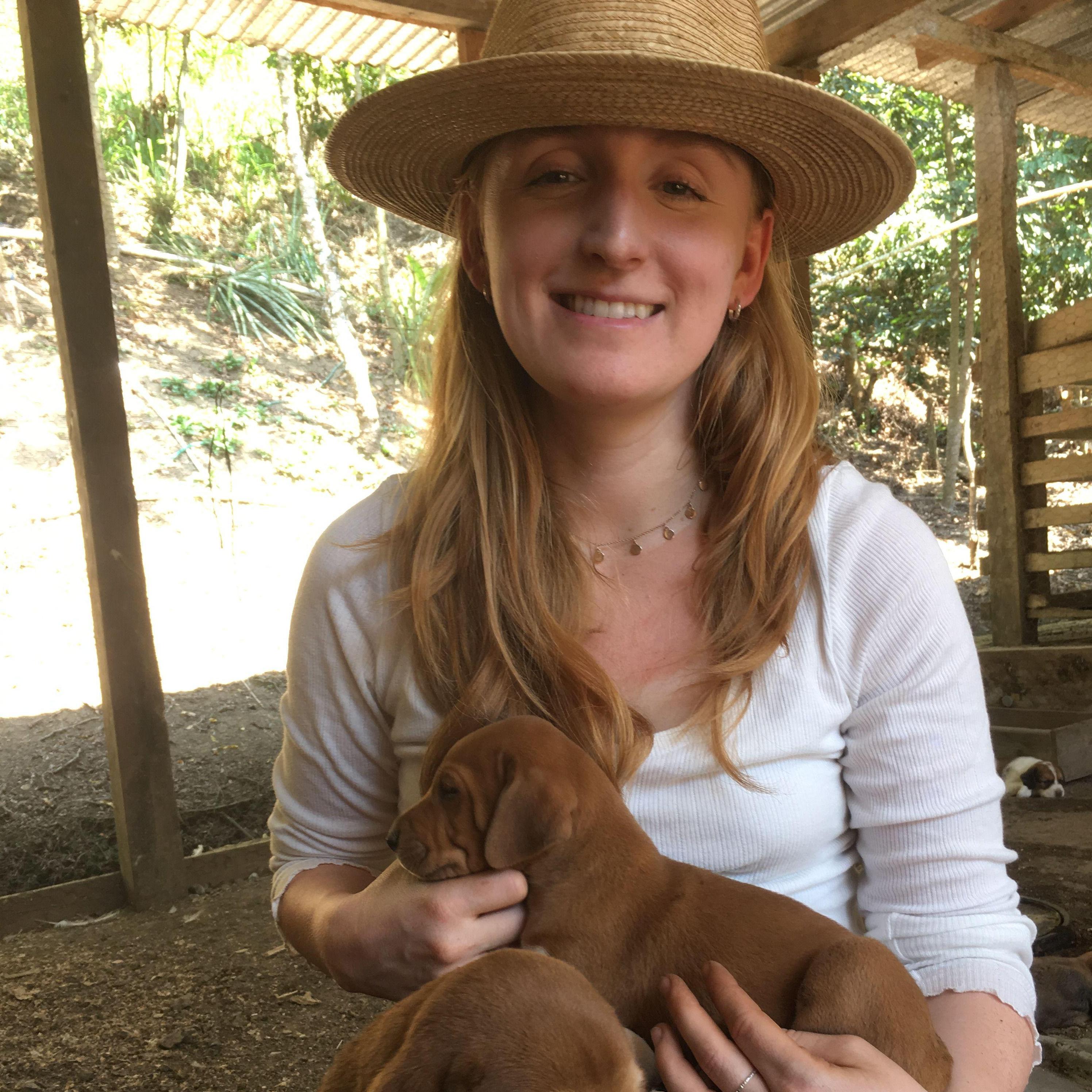 Danielle finds cats or dogs everywhere she goes - even in the Guatemalan jungle