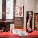 The Mütter Museum at The College of Physicians of Philadelphia