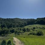 Castle Ridge Trail