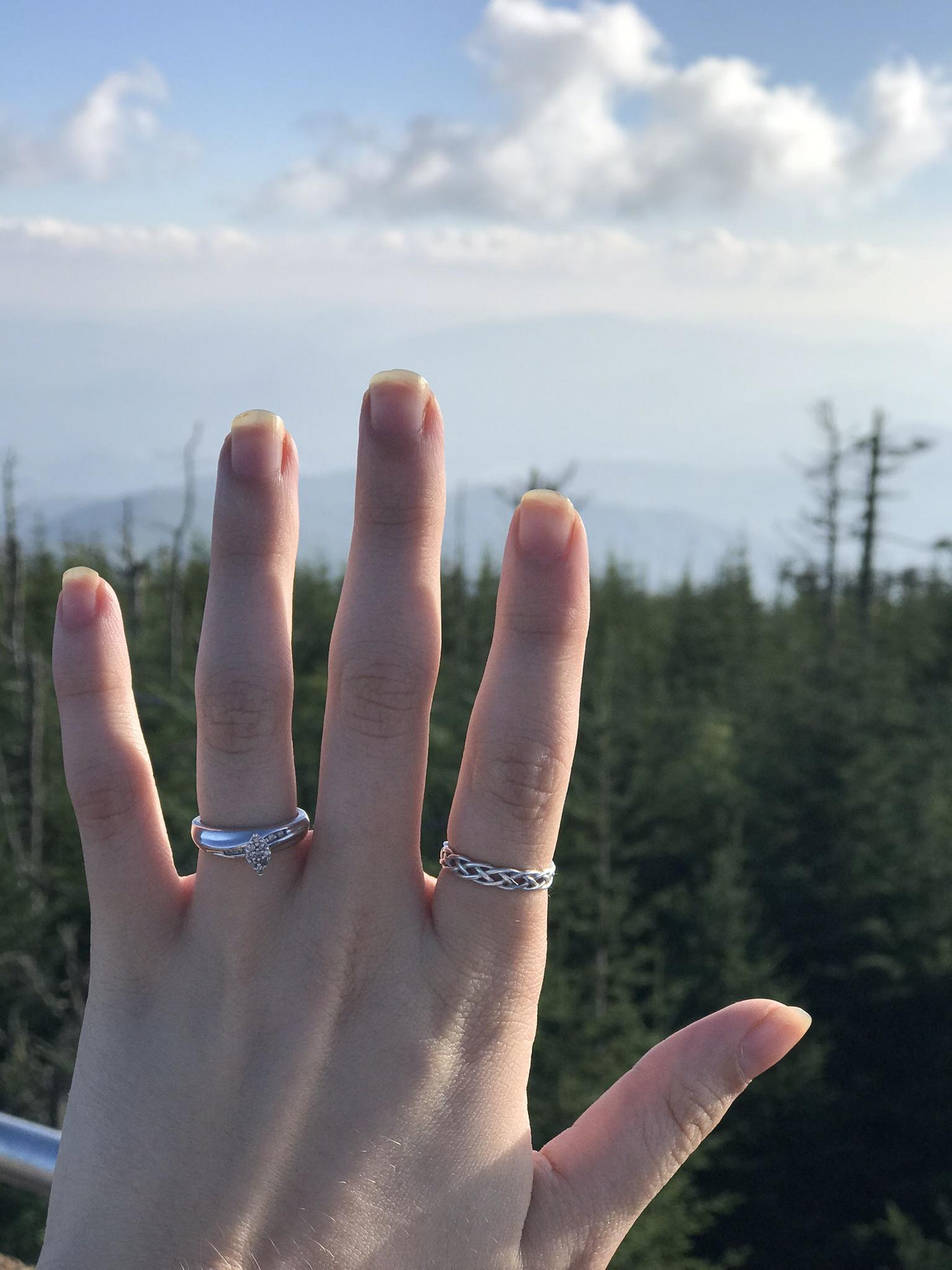 The Wedding Website of Brooklyn Stone and Jonathan Vines