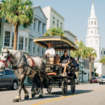 Palmetto Carriage Tours