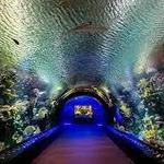 New York Aquarium & Coney Island Boardwalk