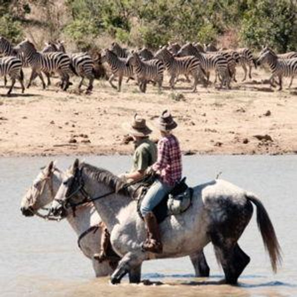Honeymoon Fund - Horseback Safari in South Africa