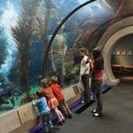 California Science Center