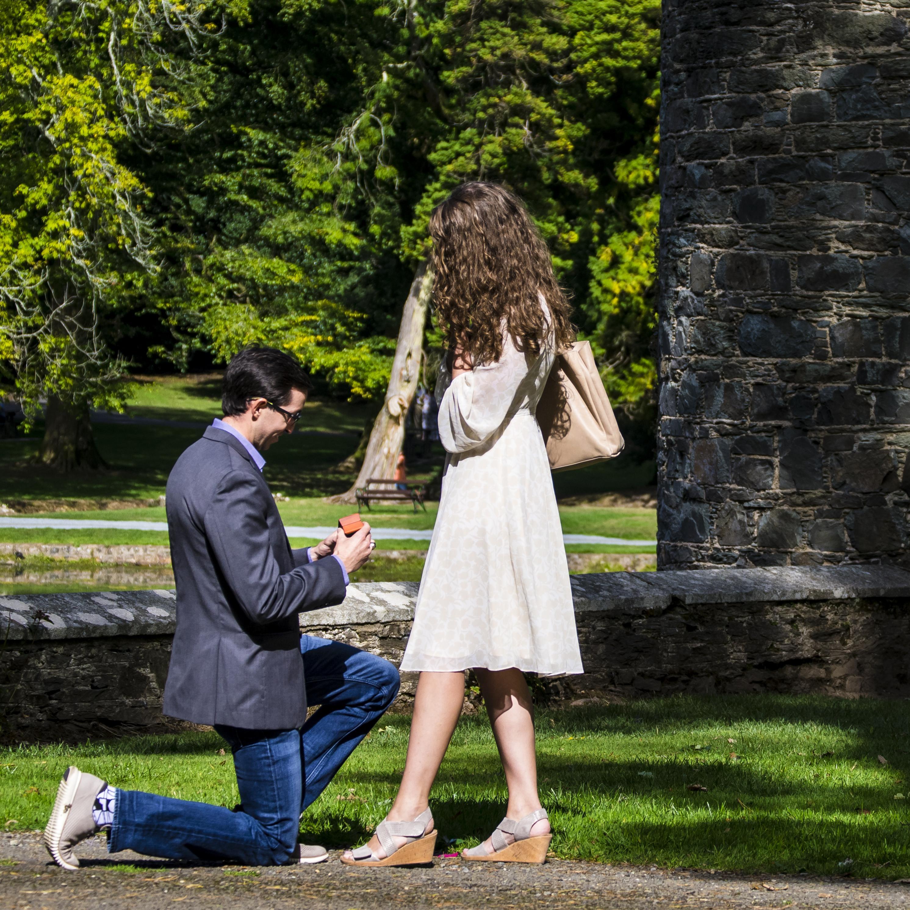 Engagement at Johnstown Castle