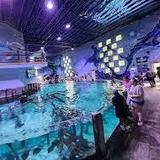 Houston Interactive Aquarium & Animal Preserve