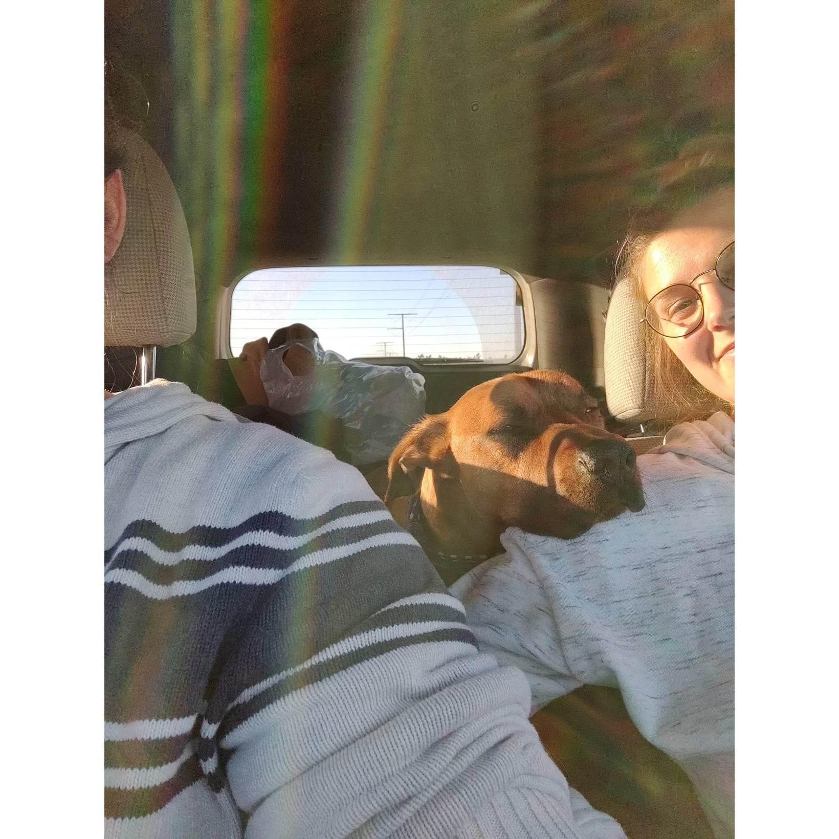 One of several family roadtrips- November 2022