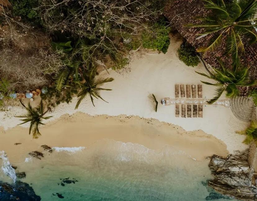 The Wedding Website of Olivia Gaytan and Chris O’Brien