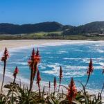 Carmel River State Beach