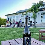 LedgeStone Vineyards
