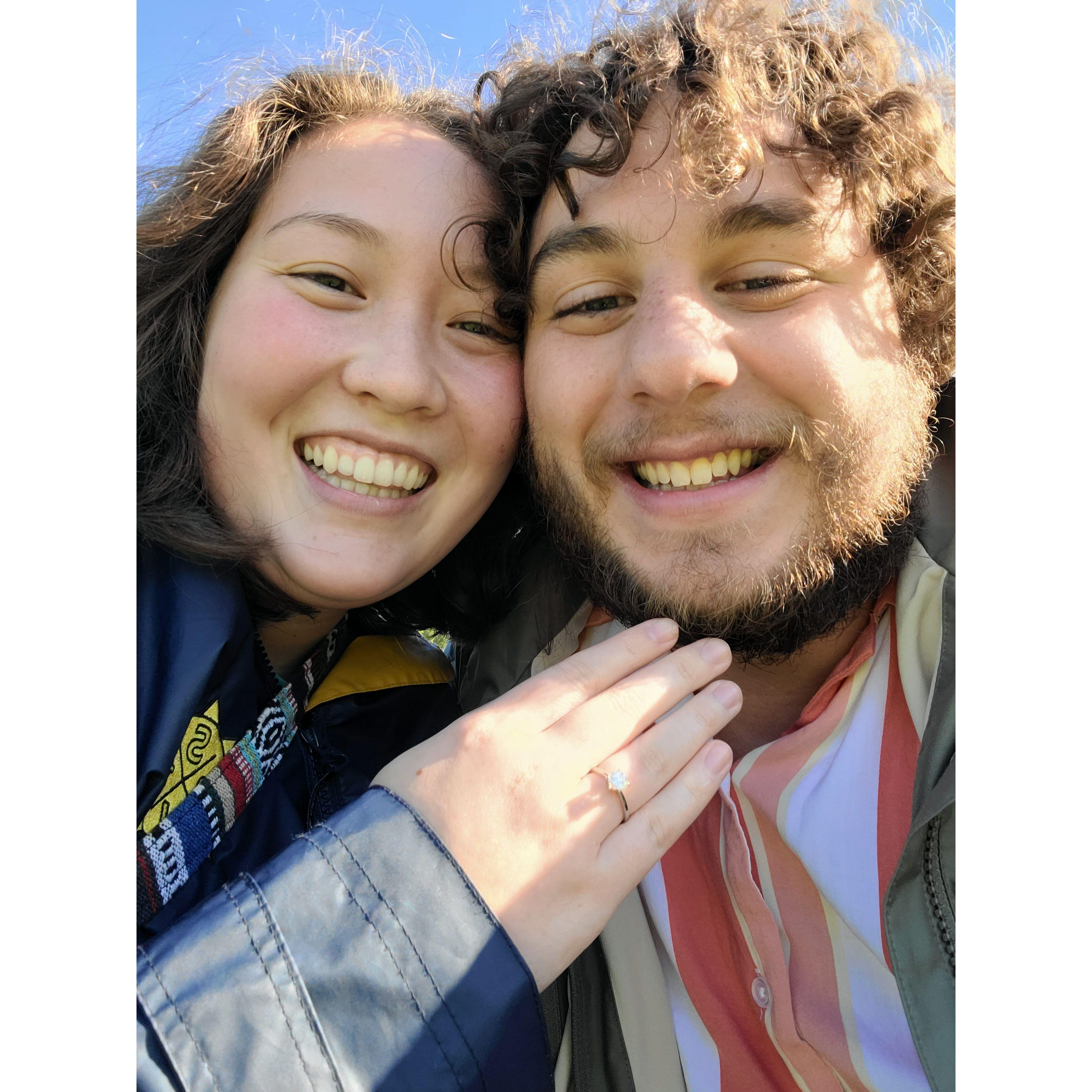 Jun 23, 2023. Getting engaged at the Reykjavik Botanical Garden in Iceland.