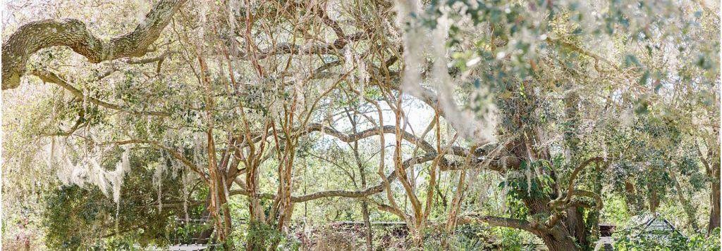 The Wedding Website of Roxanne Schrock and Brandon Roberts