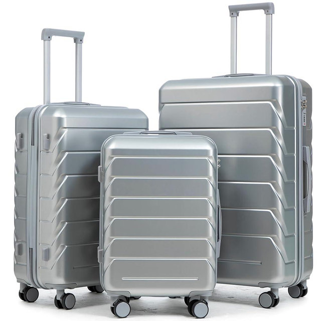 Hardshell Luggage, Lightweight Suitcase with Spinner Wheels, Silver