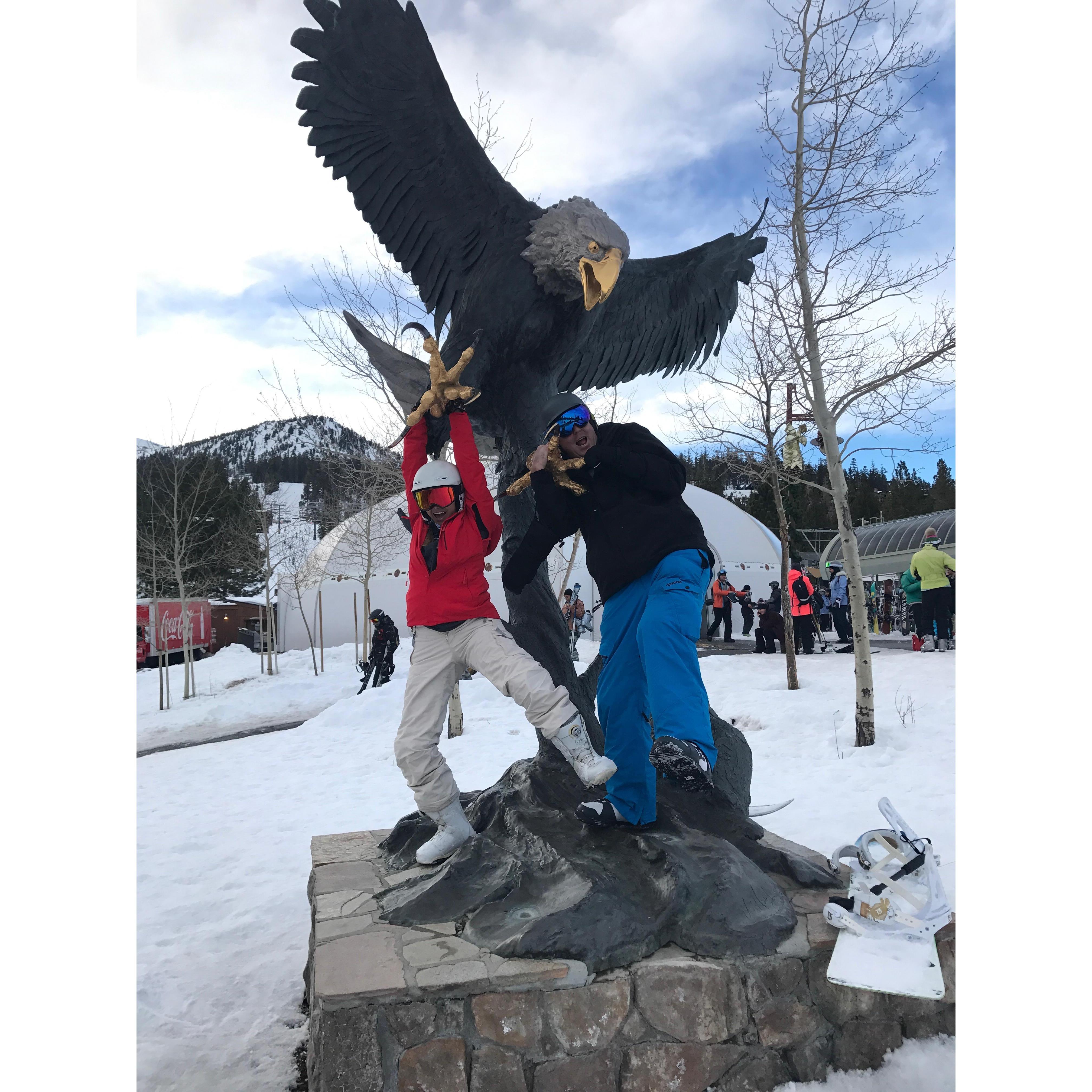 Goose & Maverick ready for takeoff! - Mammoth, CA