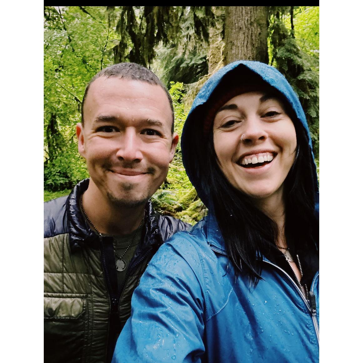 Hoh Rainforest. August 2024