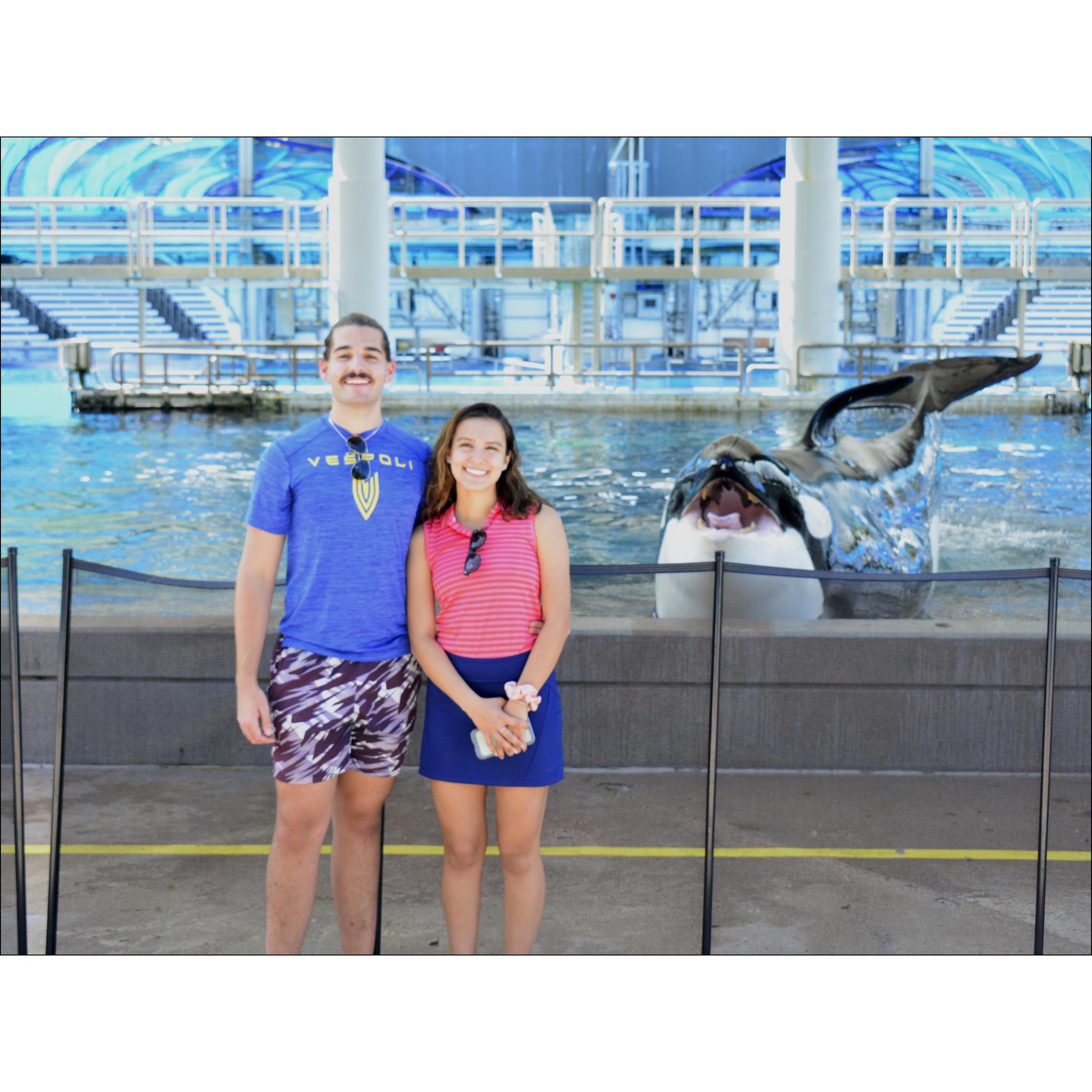 Seaworld with the orca!