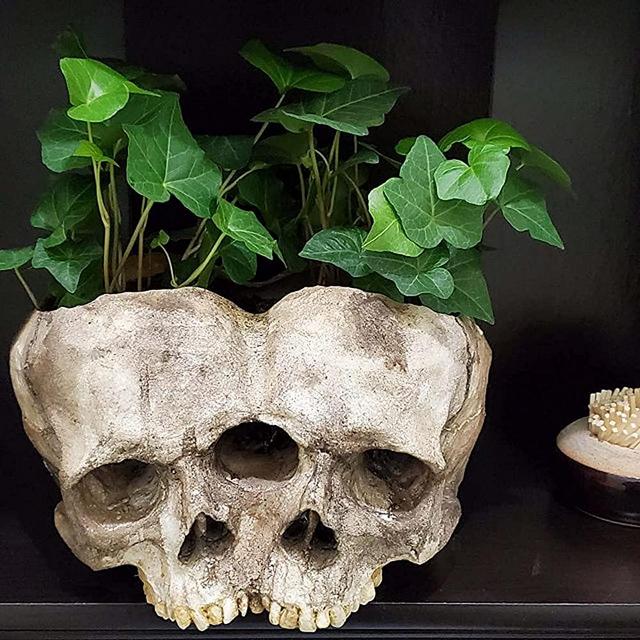 Skull Planter Pots for Indoor Plants, Skull Plant Pot Head Yard Art Outdoor and Garden Decor Outside Spring Skull Flower Pot for Home Decorations Birthday Gag Gifts Halloween (Double Skull)