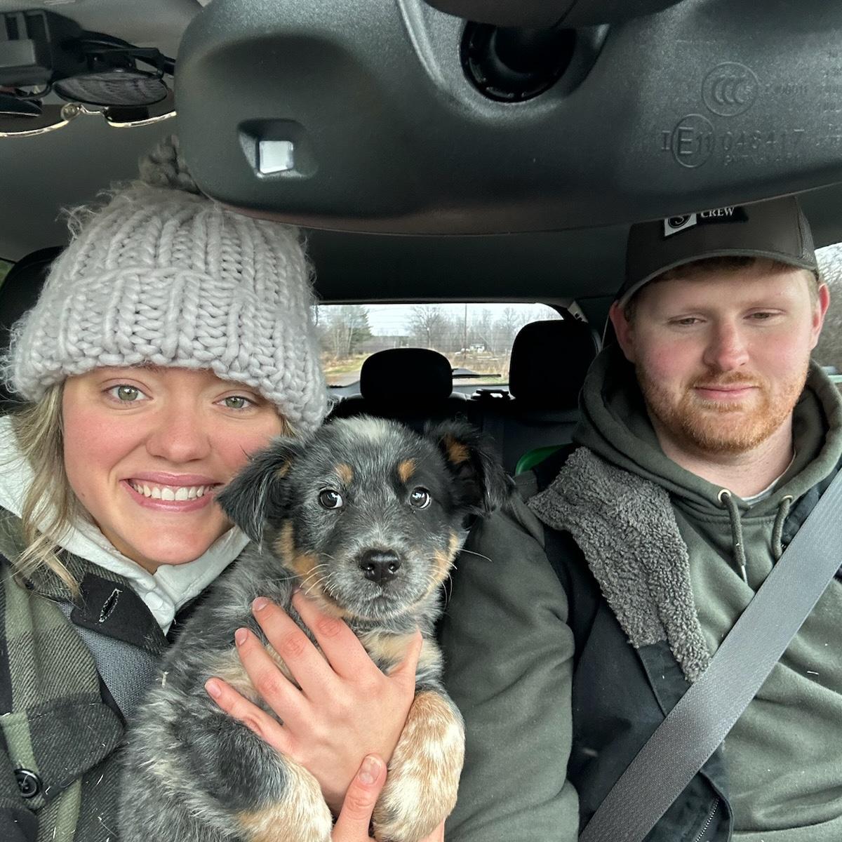 Got our first puppy!