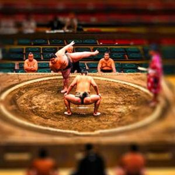 Sumo Wrestling Match