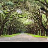Wormsloe State Historic Site