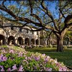 Louisiana State University