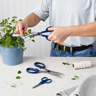 3-Piece Multi-Purpose Scissors Set