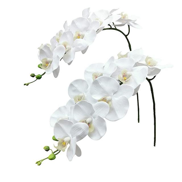 Fnize Orchid Stems Artificial Flowers Real Touch Latex Faux Phalaenopsis Branches 9 Large Blooms 38 Inches 2pcs White