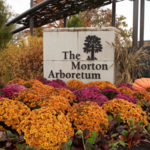 Morton Arboretum Visitor Center