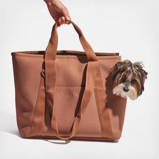 Everyday Carrier