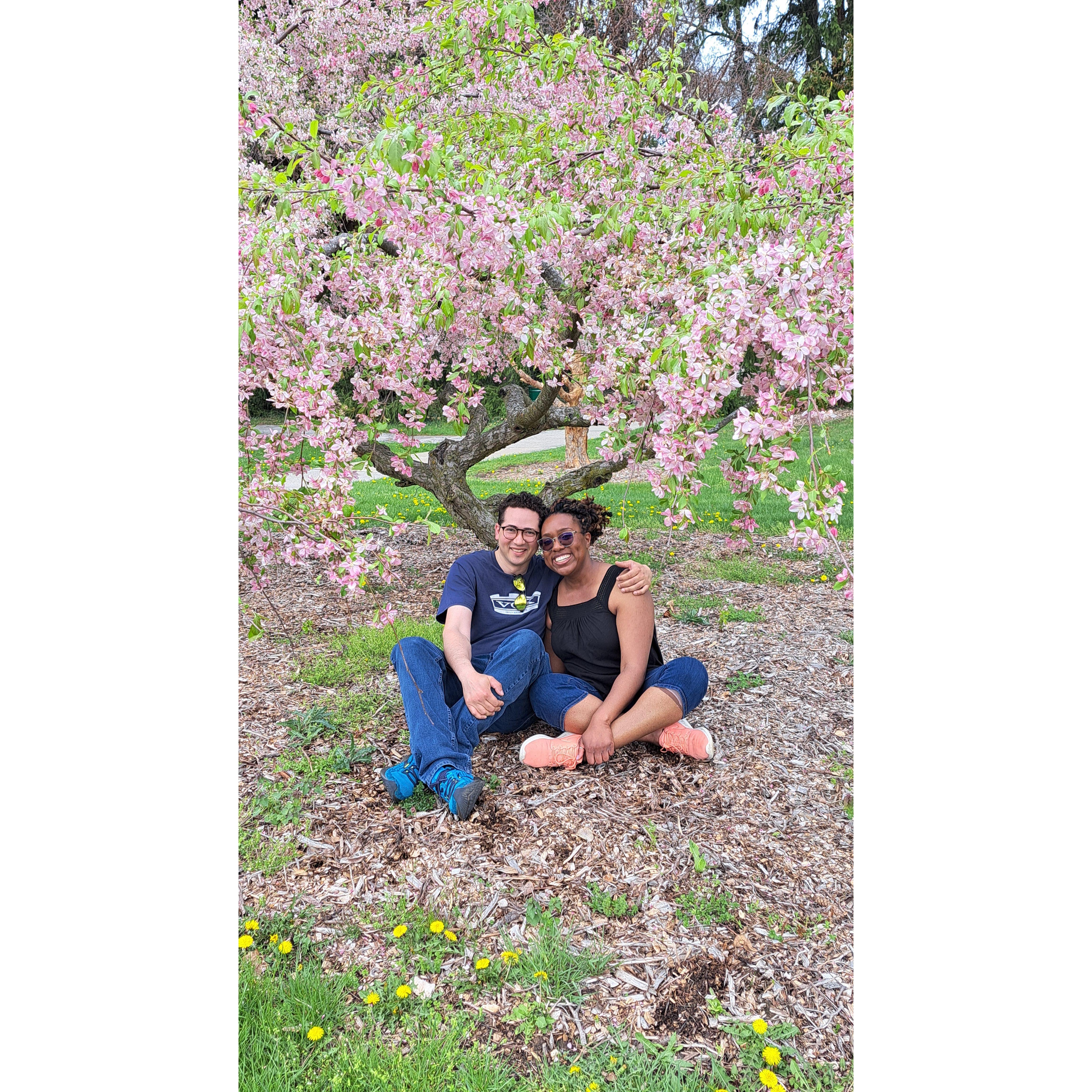 Hidden Lake Gardens - Thank you Emily for taking such great pictures!